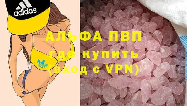 PSILOCYBIN Аркадак
