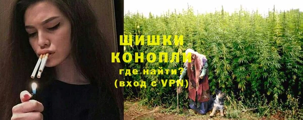PSILOCYBIN Аркадак